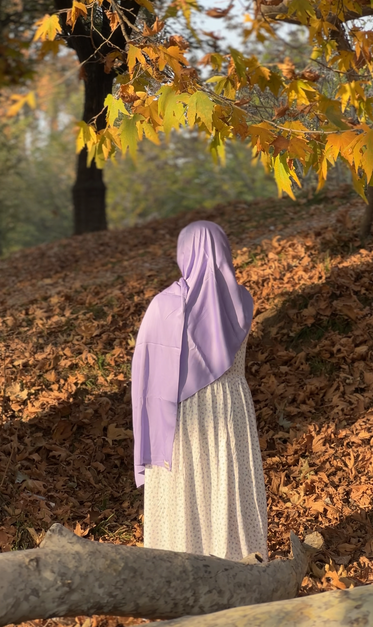 Zaina Hijab